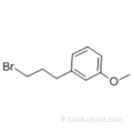 1- (3-BroMopropyl) -3-Méthoxybenzène CAS 6943-97-1